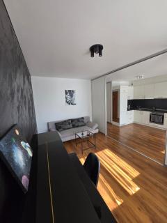 The cosiest apartment in Vilnius - Vilnius - 9