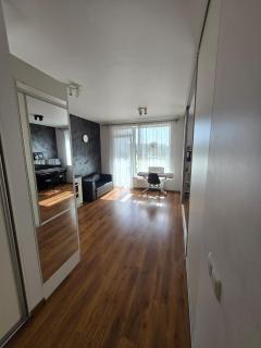 The cosiest apartment in Vilnius - 4