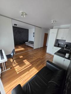 The cosiest apartment in Vilnius - Vilnius - 3