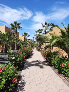 Casa Ola Oasis Papagayo - Corralejo - 6