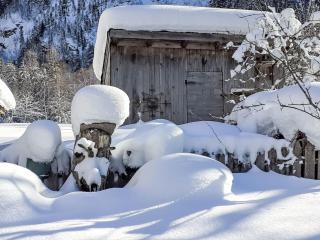 Apartment Wandegg by Interhome - 4