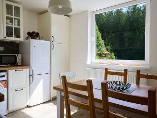 Apartment Harrachov 582 by Interhome - Harrachov - 4