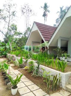 Stokel Cottage - Praya - 0