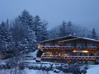 Best Western Adirondack Inn - Lake Placid - 4