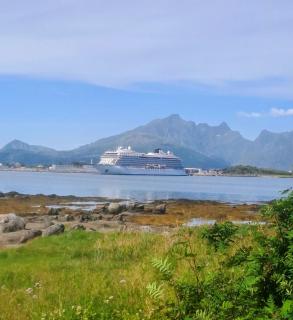 Beautiful Lofoten well equipped nice apartment - Gravdal - 2