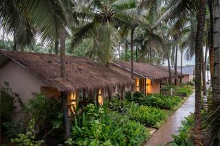 Palma Beach Resort - Mandrem - 9