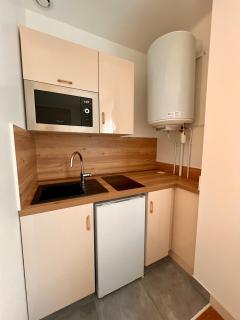 Appart' Hotel LE CYGNE gare - 1