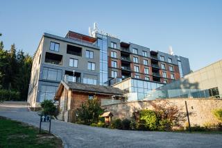 Peakture Hotel Balvanyos - Balvanyos - 9