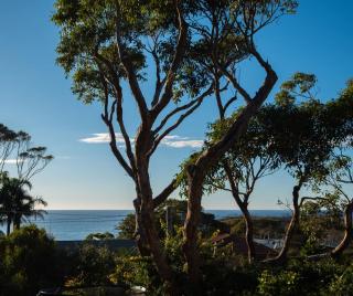 Ocean Views Walk to Malua Beach EV & Pet Friendly - Malua Bay - 0
