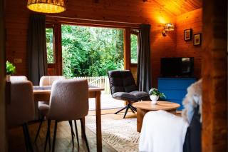 Huisdiervriendelijk houten huisje in het groen - Epe - 5