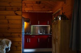 Huisdiervriendelijk houten huisje in het groen - Epe - 1