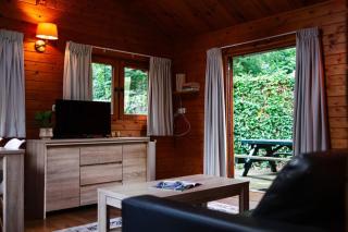 Sfeervol houten huisje met omheinde tuin op de Veluwe - 5