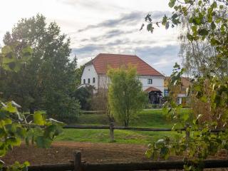 Penzion Horse Farm Lechovice - Lechovice - 2