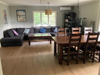 Charmig villa med bastu och snabbt wifi - Långav - 1