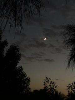 ملاذ Haven Resort Siwa-MALATH - 3