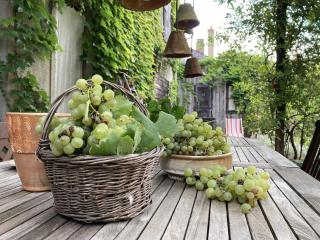 Le 16 maison d'hôtes en Berry - 9