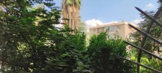 Maadi - Il Cairo - 9