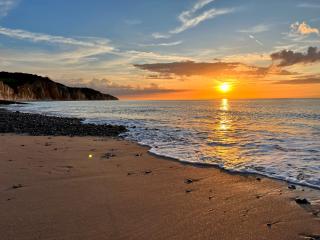 Maison Pig House - 8