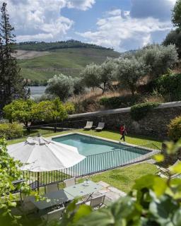Wine Tourism - Quinta dos Murças - Covelinhas - 9