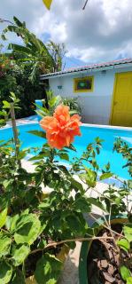 MANDALA DREAMS Pousada e Portal Holístico - Maceio - 3