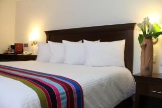 Palmareca Inn-Suites-Studio - Tuxtla Gutiérrez - 4