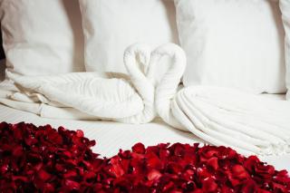 Palmareca Inn-Suites-Studio - Tuxtla Gutiérrez - 3