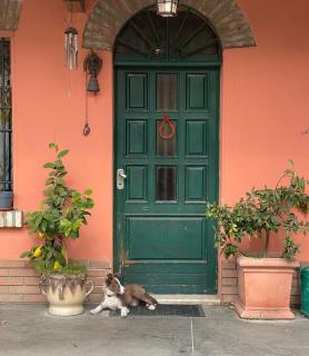 B&B La Cascina di Alice - Castiglione delle Stiviere - 8