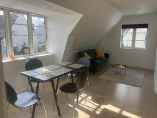 Charming Apartment with Lake View, Tennis Court- 5 Minutes from Odense Center - Odense - 8