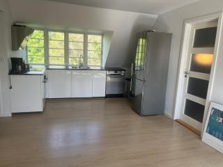 Charming Apartment with Lake View, Tennis Court- 5 Minutes from Odense Center - Odense - 2