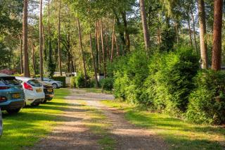 Forest Finest, luxe chalet met HOT TUB mooie overkapping en prachtige tuin met veel privacy - 7
