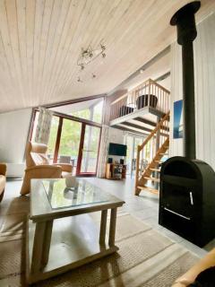 Wildgans 85 - Mirow - 2