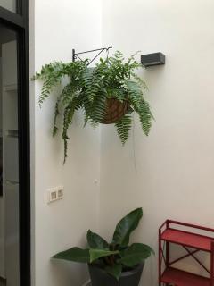 Apartamentos Los Dragos - Planta 2 - Las Palmas de Gran Canaria - 4