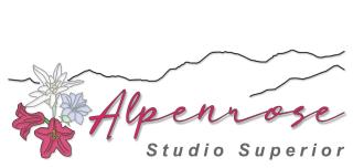 Chalet Wiesengrund ENZIAN ALPENROSE - Saas-Almagell - 6