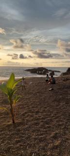 Corcovado Bungalows - Drake - 9