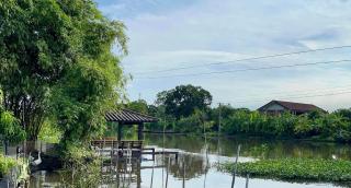 Croc Camp - Lat Krabang - 1