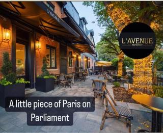 2BR Downtown Apartment in Toronto Close to Eaton Centre - 6