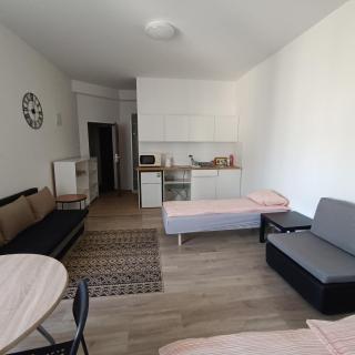 Apartament Rybaki 15 - Poznan - 1