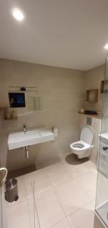 T2 spacieux entre centre ville et lac - 3