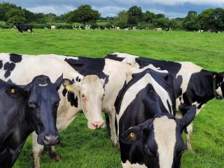 Fir Tree Farm by Wigwam Holidays - 6