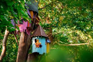 Fir Tree Farm by Wigwam Holidays - 5