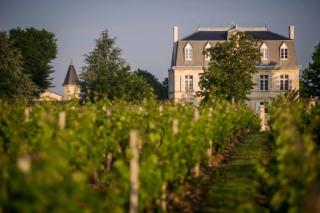 Château Malescasse - Lamarque - 5