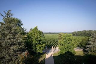 Château Malescasse - 4