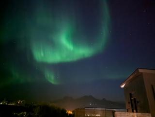 Nordlys Family Studio - Bodø - 0