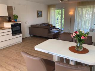Dünenwelle - 3 Zi, Kü, 2 Bäder, Balkon - Binz - 7