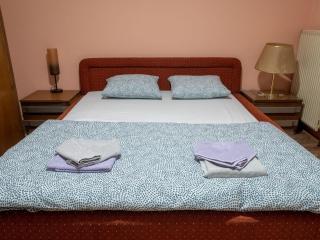 Apartman Aleksandar - Kruševac - 9