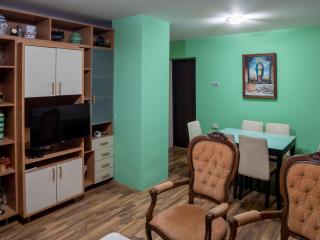 Apartman Aleksandar - Kruševac - 3