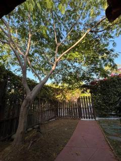 Superba Paradise, steps to Abbott Kinney, Venice - Los Ángeles - 6
