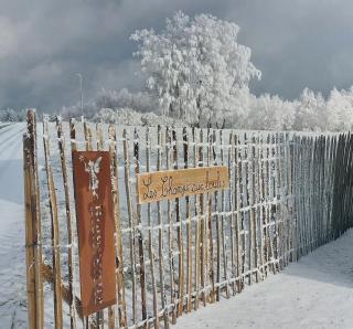 Les Champs aux Boules Ambiance très cosy - 9