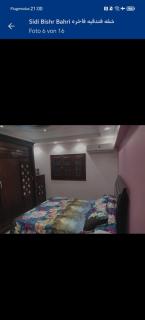 Marassi - El Alamein - 0