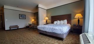 Best Western Plus Emory at Lake Fork Inn & Suites - Emory - 2
